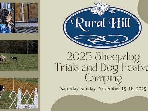 2025 Sheepdog Trials & Dog Festival Camping