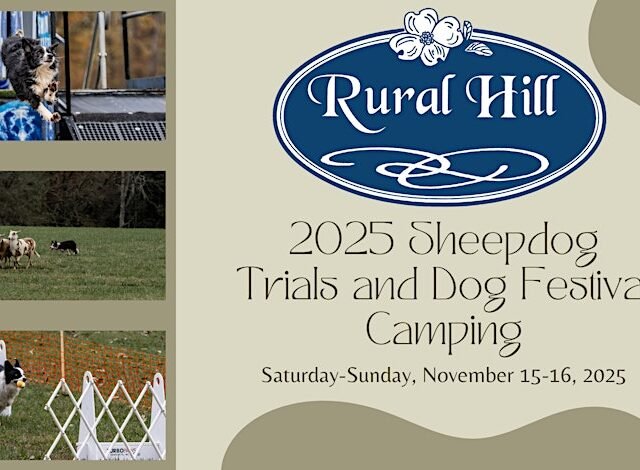 2025 Sheepdog Trials & Dog Festival Camping