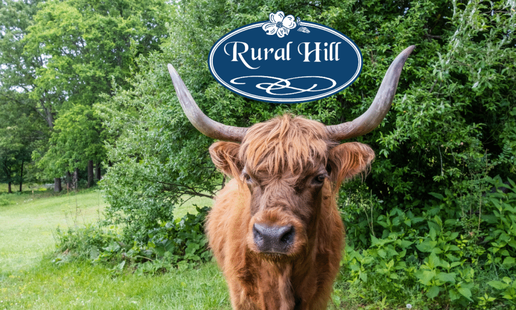 Support the Working Farm at Rural Hill