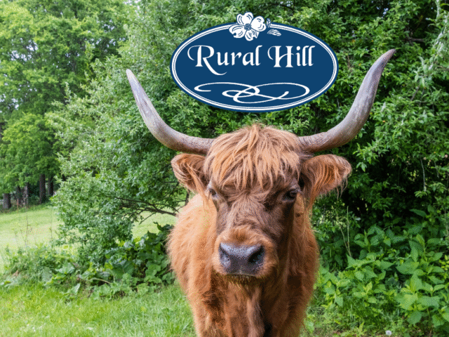 Support the Working Farm at Rural Hill