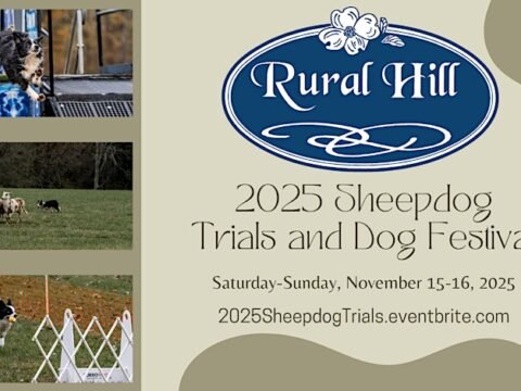 2025 Sheepdog Trials and Dog Festival