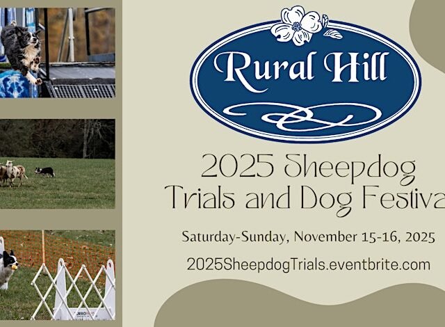 2025 Sheepdog Trials and Dog Festival