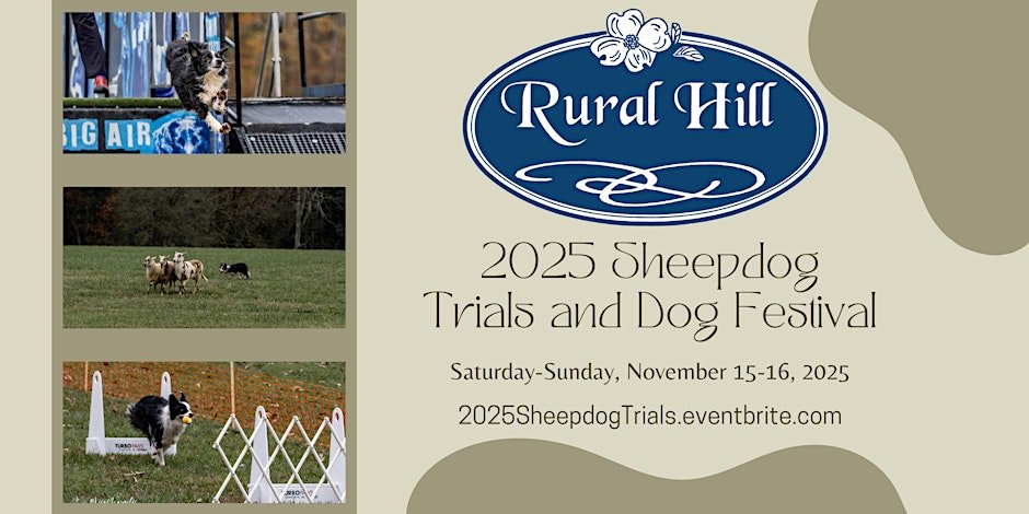 2025 Sheepdog Trials and Dog Festival